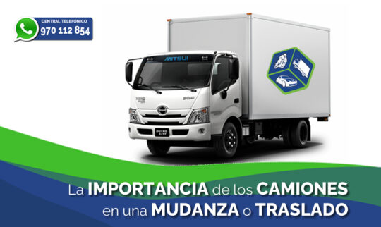 CAMION PAGINA WEB