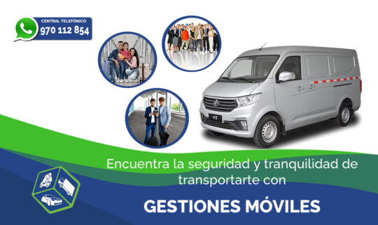 MINIVAN PAGINA WEB