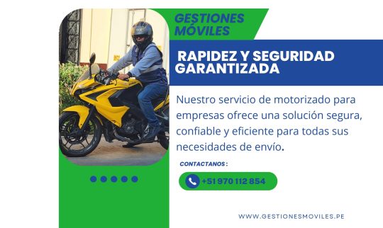 Rapidez y seguridad garantizada - Página web