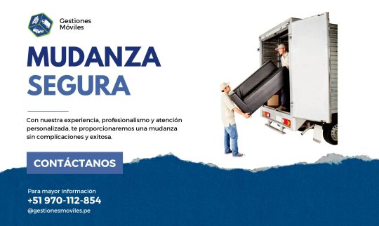 Servicio de Mudanza segura-Página Web