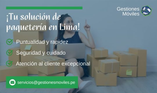 Servicio de Paquetería - Página Web